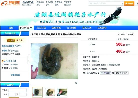 销售娃娃鱼的网店